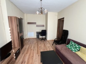 1 dormitor Strelbiște, Sofia 5