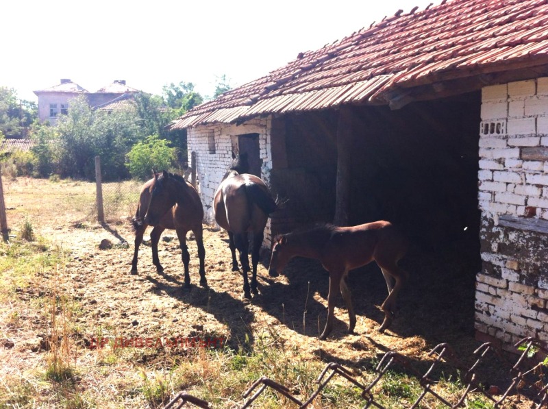 De inchiriat  Casa regiunea Haskovo , Camenna reca , 104 mp | 21659355 - imagine [4]
