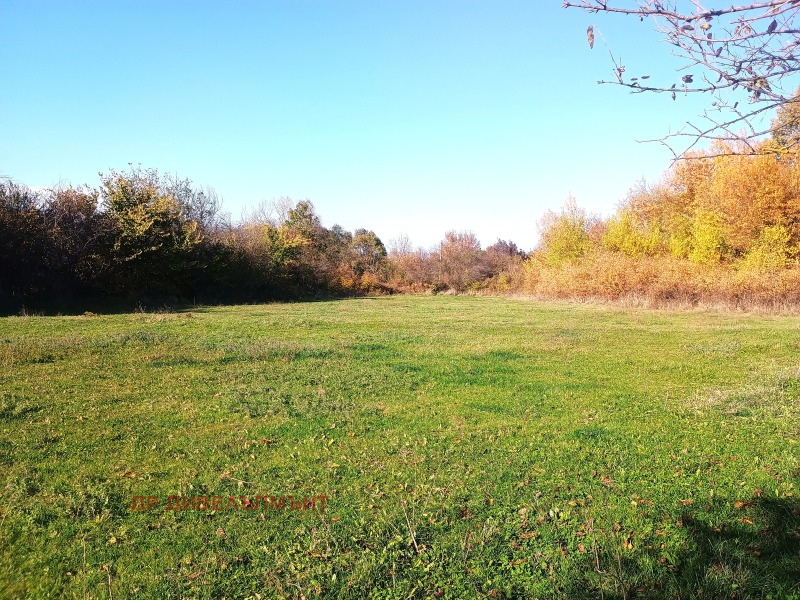 De inchiriat  Casa regiunea Haskovo , Camenna reca , 104 mp | 21659355 - imagine [2]