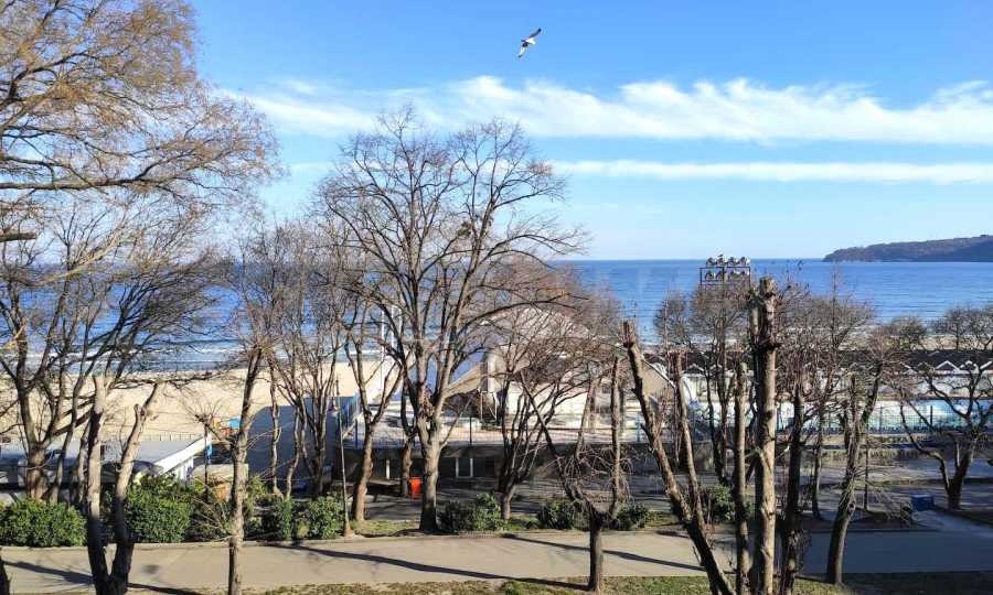 ���� ��� ���� 3-����� | Imot.bg � ����������� 11