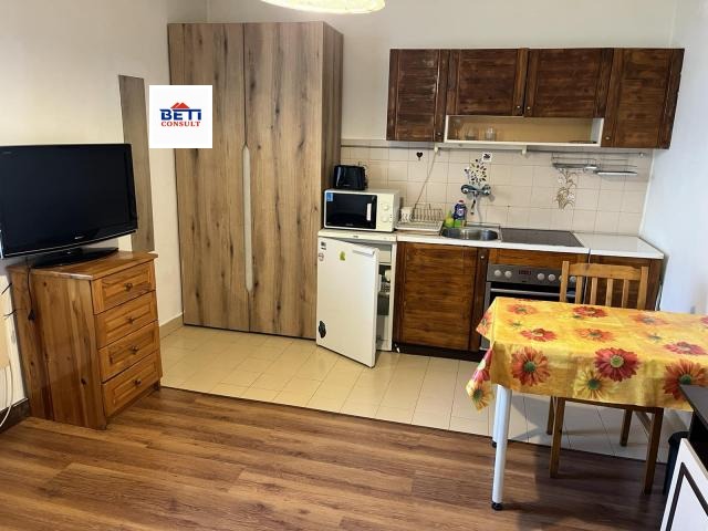 Дава под наем СТАЯ, гр. София, Борово