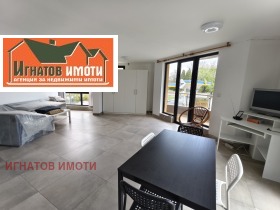 ����� ���� ��� ���� ����,���� ���������, ������