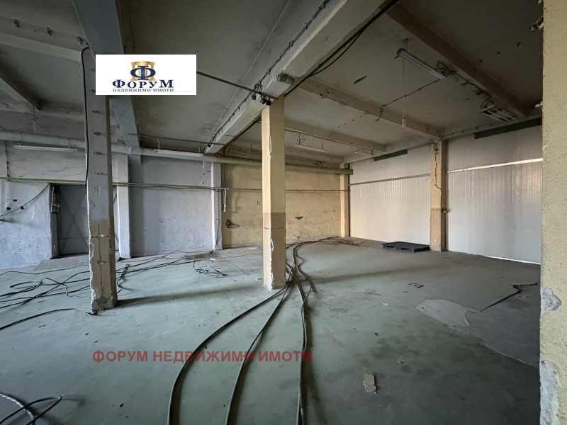 Дава под наем ПРОМ. ПОМЕЩЕНИЕ, гр. Пловдив, Кючук Париж, снимка 2 - Производствени сгради - 52830867