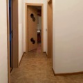 Под наем 3-СТАЕН, град София, Борово • 699 € • 16488250 — Holmes.bg