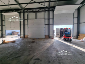 ����� ���� ��� ���� ����. ���������,���� �������, ������������ ���� - �����