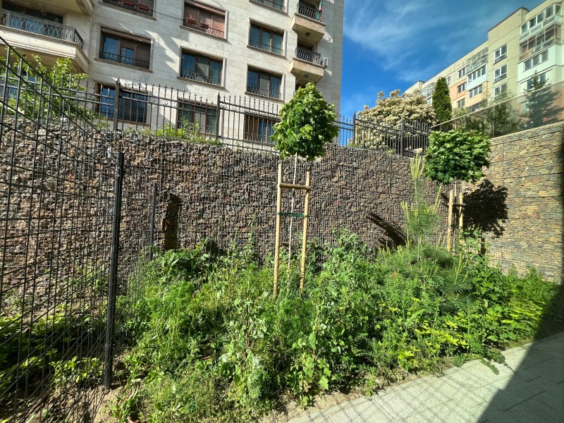 A louer  Bureau Sofia , Mladost 2 , 203 m² | 63482575 - image [12]