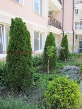 ���� ��� ���� 2-����� | Imot.bg � ����� ������ 16