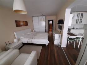 1 bedroom Belite brezi, Sofia 1